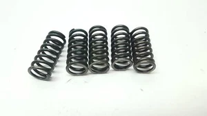 Clutch Springs KTM 85 SX 2004 03-17 TC85 #85SX04 - Picture 1 of 1