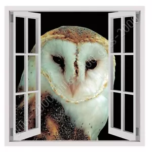 Night Owl por ventana 3D falsa | lienzo (enrollado) | arte de pared imagen de arte HD - Imagen 1 de 21