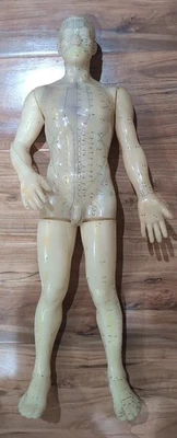 Maniquí modelo muñeca masculina acupresión acupuntura goma 20" vintage con manual Foto 1 de 4