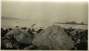 ALTES FOTO - VINTAGE SNAPSHOT - MEER FELSEN FUSSANGELN - SEA FISHING ROCK - Bild 1 von 1