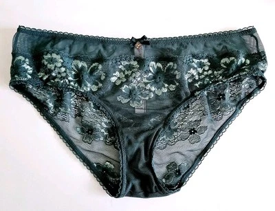 Victoria's Secret Body de Victoria Panty Hiphugger de malla de encaje verde azulado mediano Foto 1 de 4