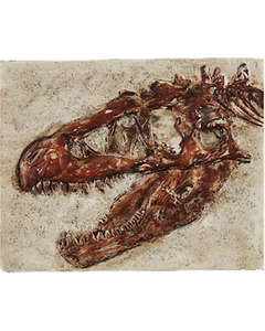 T-Rex Skull Fossil Prehistoric Fridge Magnet Handcrafted In Resin W/A TREXFMAG - Picture 1 of 3