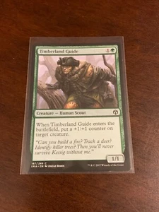 Magic the Gathering Iconic Masters Timberland Guide - Picture 1 of 2