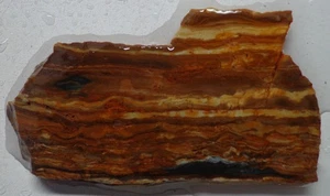 WRG- Buffalo Horn Picture Jasper Slab 21 grams Wyoming Lapidary - Picture 1 of 4
