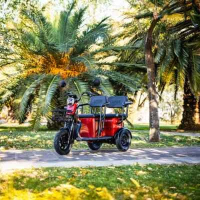 Seniorenfahrzeug Elektro Scooter Trike Dreirad Seniorenmobil 3 Rad 25 km/h APM5 - Bild 1 von 4