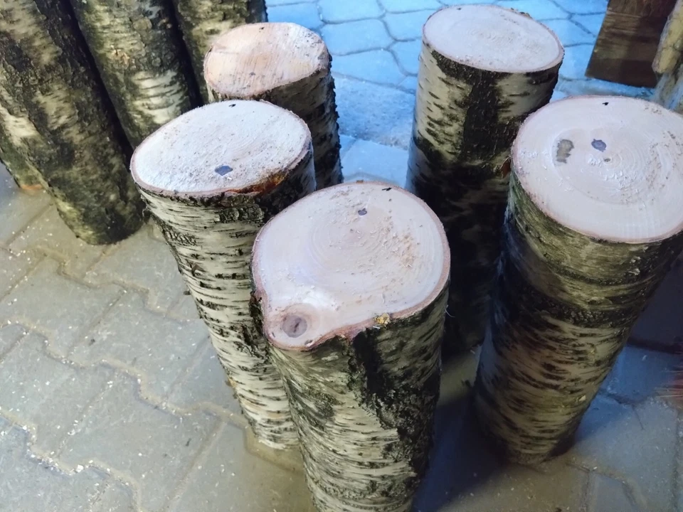 Birkenstamm, Birkenholz, Birkenscheibe, Dekosäule, Blumensäule, Honig, Geschenk, - Bild 1 von 4