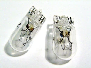 2pcs New Clear 194 Mini 12V Incandescent Wedge Instrument Panel Light Bulb Lamp - Picture 1 of 5