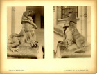 F. M. Sabon. France, Sculptures Vintage Albumen Print. 2 Photos-11X 16 Cm. Tir