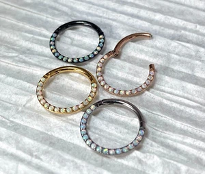 1pc Implant Grade Titanium Opal Paved Front Hinged Segment Ring Septum Clicker - Picture 1 of 8
