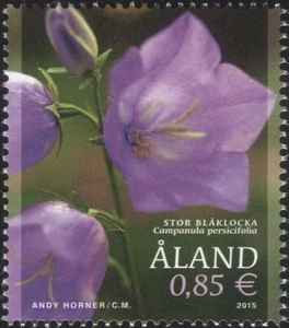 Aland 2015 Bellflower/Plants/Flowers/Nature/Horticilture 1v (af1040) - Picture 1 of 1