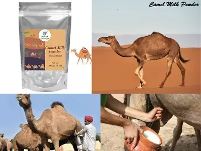 Nxtgen Ayurveda Original Pure High Protein & Calcium Camel Milk Powder | 100 Gm • 16.34$