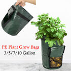 3/10 gallon Potato Tomato Grow Planter PE Container Bag Root Veg Plant Pouch Pot