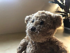 Süßer Chelsea Teddybär ~ 10 Zoll braun weiches Stofftier ~ kuschelig und so süß! - Bild 1 von 9