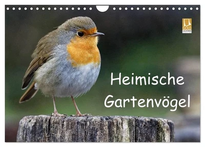 Heimische Gartenvögel (Wandkalender 2026 DIN A4 quer), CALVENDO Monatskalender