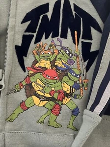 TMNT Zip Hoody And Jogger Set NWT Size 4/5 - Picture 1 of 10