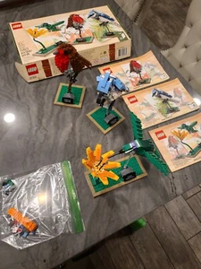 Lego Ideas 21301 Vögel gebraucht komplett mit Box Anleitung Robin Kolibri Jay - Bild 1 von 11