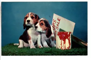 Vintage Postkarte Post 1959 Kansas City Welpen zum Verkauf von Gajda entzückende Hundekarte - Bild 1 von 2