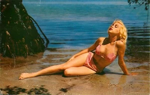 Postcard Vintage 1967 Bikini Girl Bathing Beauty Swimsuit Photo - Picture 1 of 2