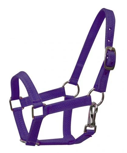 Pequeño - Mediano Poni Talla Caballo 12h - 13h Pesado Nylon Halter Púrpura Rojo Rosa Azul Foto 1 de 1