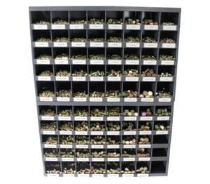 Special Order - Kit filettatura fine grado 8 e filettatura grossolana metrica 8,8 - Foto 1 di 2