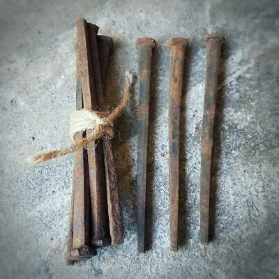 LARGE Antique Coffin Nails, Square Nails, Oddities & Curiosities, 4 1/2 Inches • 16.50$