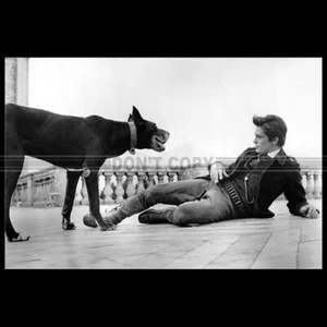 Photo F.028309 ALAIN DELON (IL GATTOPARDO) LE GUÉPARD 1963 - Photo 1/1