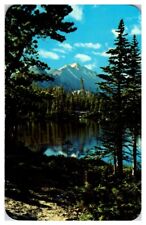 Postcard Chrome Long's Peak Nymph Lake Rocky Mountain National Park Colorado