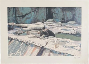 Fran Bull ZOO BEAR 1980 Serigrafia artistica firmata edizione limitata - Foto 1 di 6