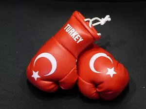 Paar Mini Boxhandschuhe Türkei für Auto Innenspiegel Turkey Kunstleder Geschenk - Bild 1 von 3