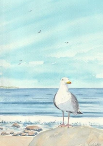 Original Aquarell - Sand,Meer,Natur - Möwe auf Felsen - Bild 1 von 1
