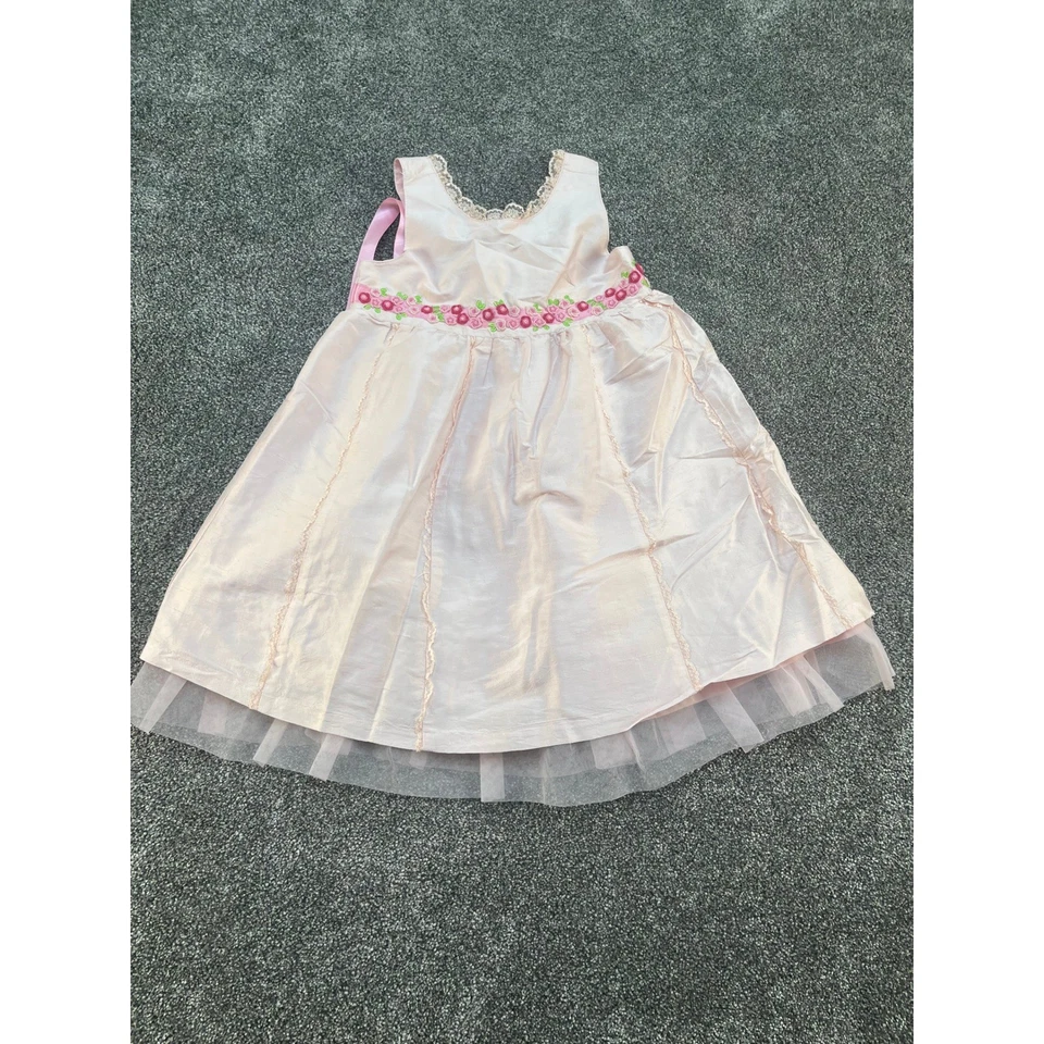 Vestido Gymboree Rosa Seda Rosa Bordado Ocasión Especial Niñas Talla 4 Foto 1 de 4
