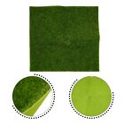 Artificial Grass for Dollhouses and Balconies Miniature Garden DIY Crafts