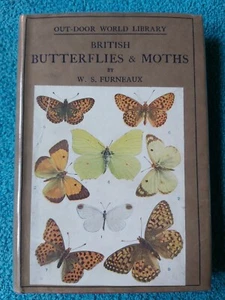 Butterflies & Moths (British), W. Furneaux, Longmans Green 1919, new impression - Picture 1 of 21