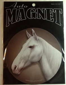 Horse Magnet Car Truck Auto Sport Kitchen Fridge Locker Trailer Magnetic - Picture 1 of 2