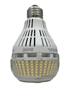 SANSI 30W 300W Equivalent LED Light Bulb 5000lm A21 Daylight Home Workshop Lamp - Picture 1 of 2