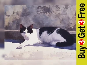 Resting Cat Portrait 5"x7" Print on Matte Paper | Serene Animal Artwork - Picture 1 of 7