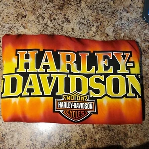 Nueva con etiquetas Harley Davidson Motocicleta Bloque Horizontal Tye Tye Hombre L Camiseta Nueva Dallas - Imagen 1 de 6