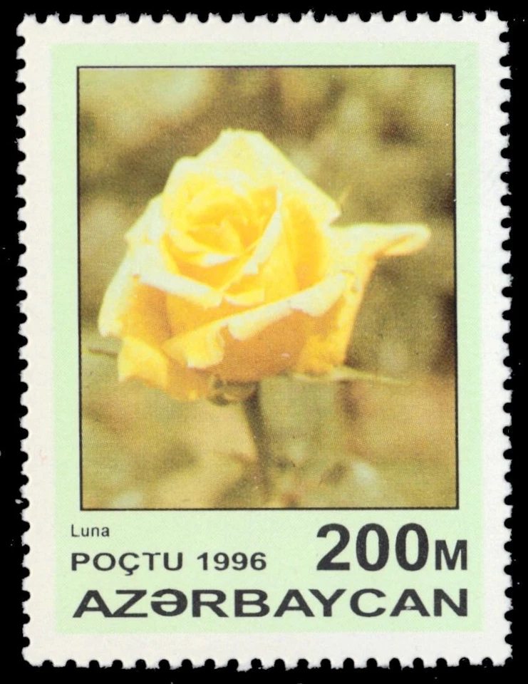 AZERBAIJAN 601 - Garden Roses "Luna Rose" (pb76257) - Image 1 of 1