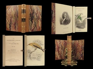 1840 BIRDS Ornithology William Jardine Western Africa Naturalist Color Plates - Picture 1 of 24