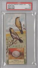1924 Patterson Candy Co. Bird Cards V75 #28 Bobolink Graded PSA 1.5
