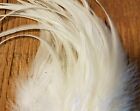 50 W/FLUFF natural white cream Saddle hackle Feather extensions Webbed 4 - 6+"
