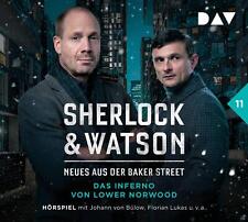 Koppelmann  Viviane. Sherlock & Watson - Neues aus der Baker Street: Das Inf ...