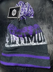 Baltmore Ravens NFL Knit Hat Beanie Sideline Winter Hat Fast Free Shipping - Picture 1 of 2