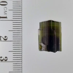 Tourmaline Elbaite green cap crystal terminated mineral specimen StakNala 15ct - Picture 1 of 7