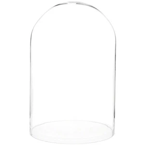 Cúpula de exhibición de vidrio Plymor 9,75" x 15" (sin base) - Imagen 1 de 1