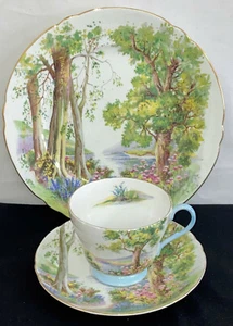 Shelley China NEW CAMBRIDGE WOODLAND CUP & SAUCER & PLATE TRIO SET* #13348* - Picture 1 of 2