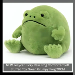 NEW Jellycat Ricky Rain Frog Comforter Soft Stuffed Toy Green Grumpy Frog 20CM - Picture 1 of 7