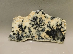 Medicine Bow Agate Stone Slab Unpolished Rough Rock Wyoming #O2 - Picture 1 of 6