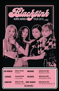 Póster de concierto Black Pink 2019 USA Kill This Love 11 X 17 enmarcado - Imagen 1 de 2