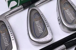 Spalding Executive EZ Irons / 3-PW+SW / Regular Flex Spalding Shafts - Picture 1 of 7